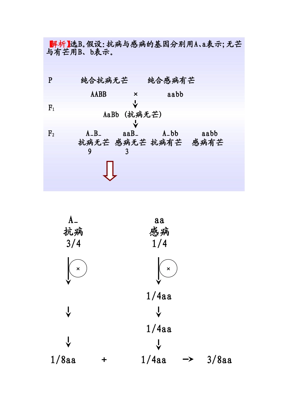 2011题干信息的分析技巧_第2页