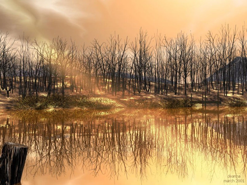 二年级语文下册画森林1课件鄂教版_第3页