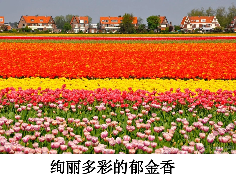 牧场之国完美版_第3页