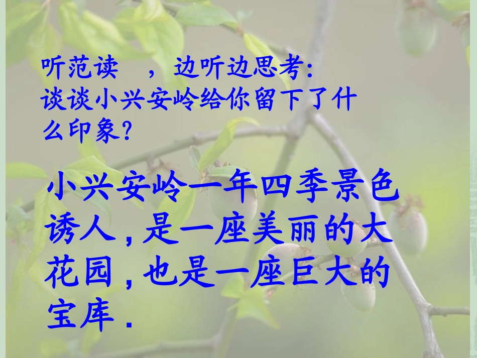 美丽的小兴安岭PPT (2)_第2页