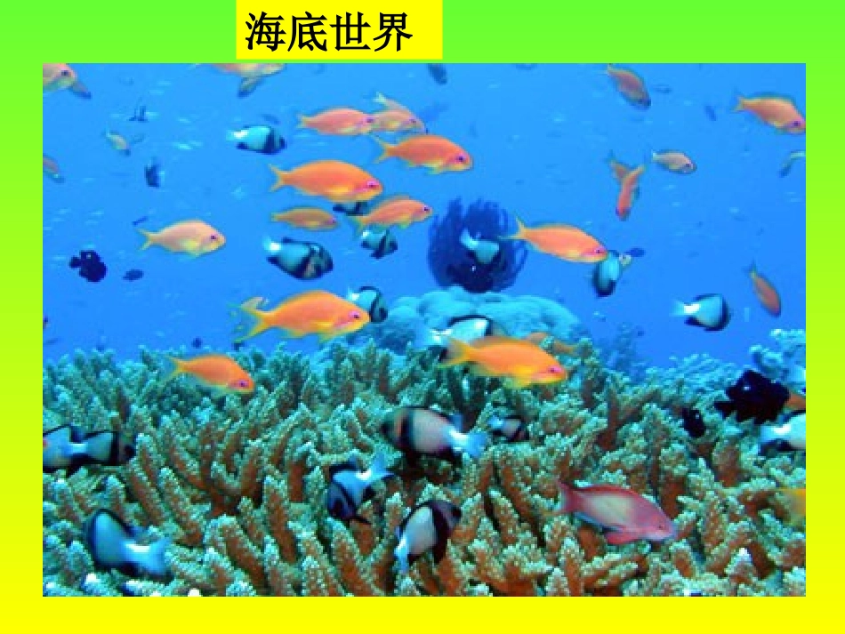 让生命之花绽放yy_第2页