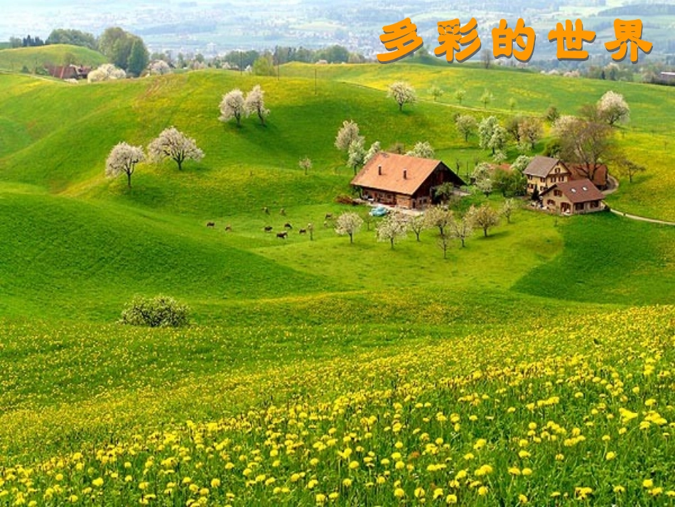 让生命之花绽放yy_第3页