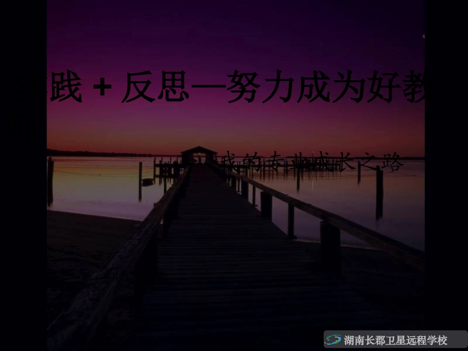 我的专业成长之路_第2页