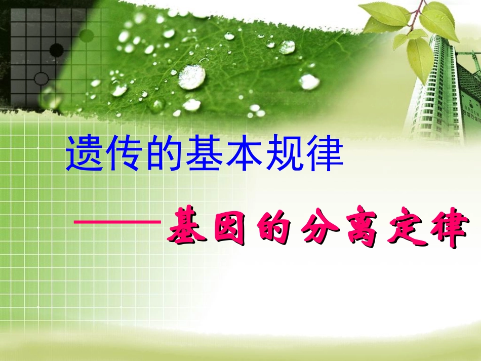 高考专题复习___基因的分离定律_第1页