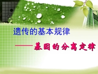 高考专题复习___基因的分离定律