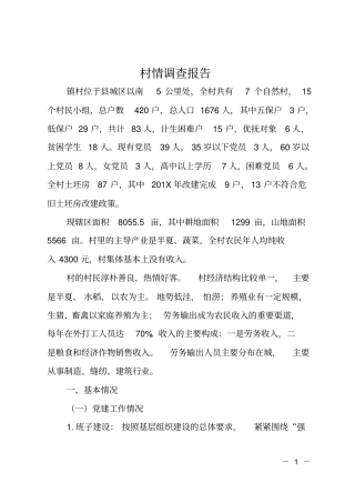 村情调查报告
