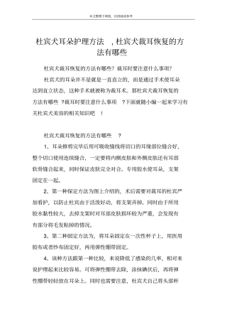 杜宾犬耳朵护理方法,杜宾犬裁耳恢复的方法有哪些