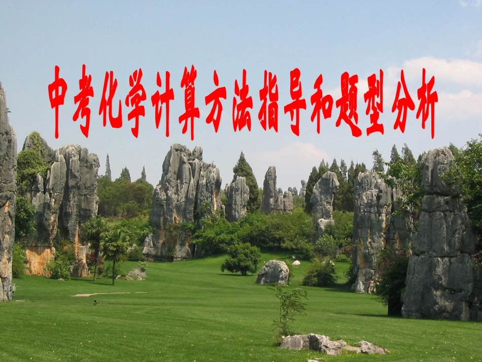 中考化学计算方法指导和题型分析（鲁教版）_九年级_628_第1页