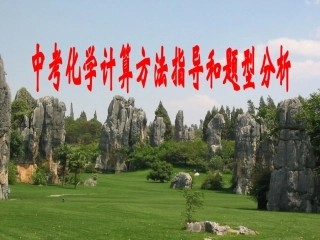 中考化学计算方法指导和题型分析（鲁教版）_九年级_628