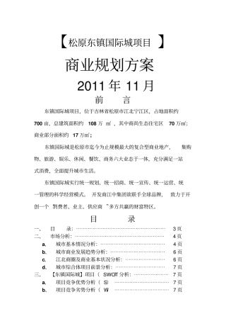 松原东镇国际城项目运营方案