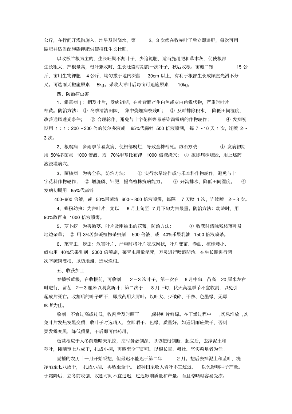 板蓝根夏季种植技术_第2页