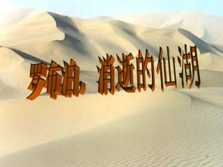 罗布泊,消逝的仙湖—杨丹做