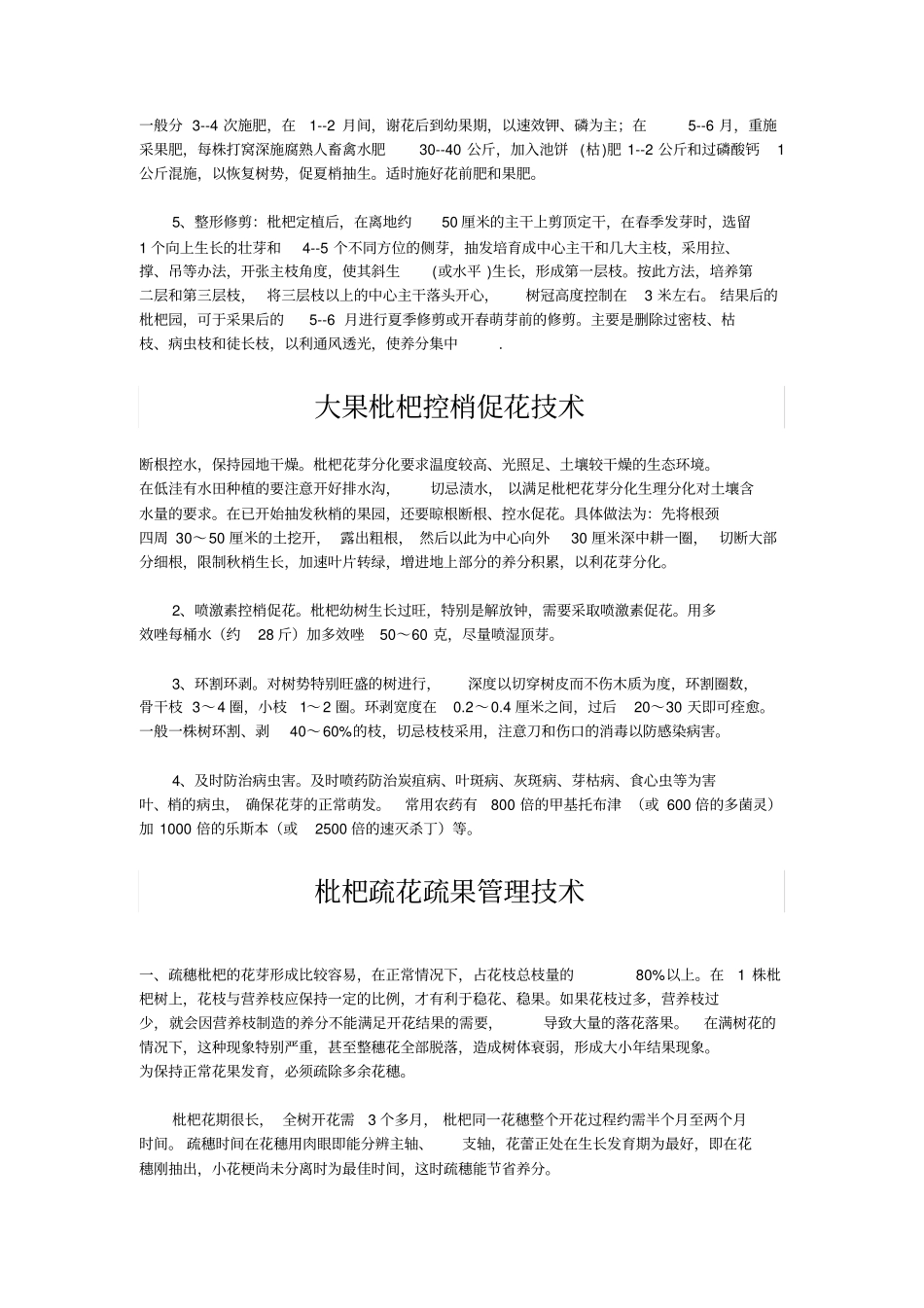 枇杷栽培技术_第2页