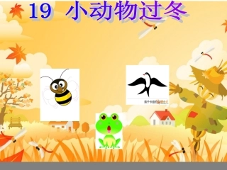 小动物过冬PPT