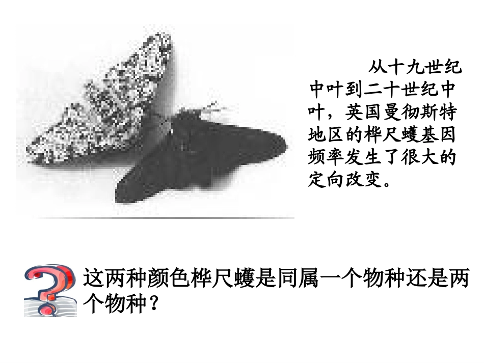 隔离与物种的形成_第3页