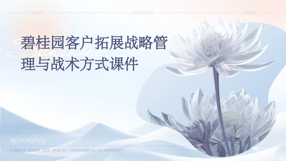 碧桂园客户拓展战略管理与战术方式课件_第1页