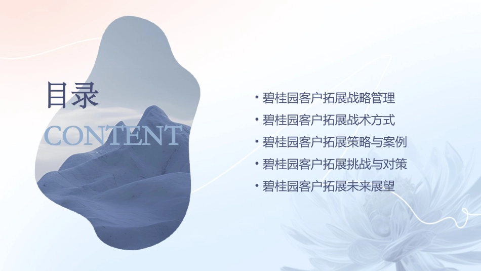 碧桂园客户拓展战略管理与战术方式课件_第2页