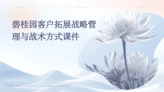 碧桂园客户拓展战略管理与战术方式课件