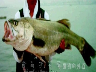 《“你必须把这条鱼放掉！”》