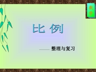 比例的复习和整理