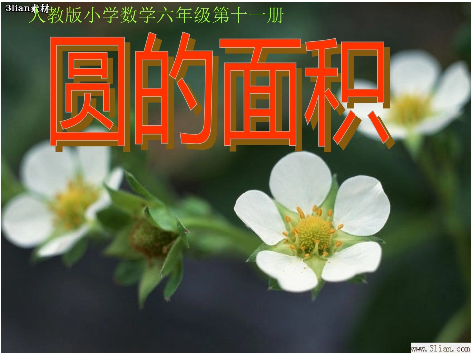 《圆的面积》PPT课件_第1页