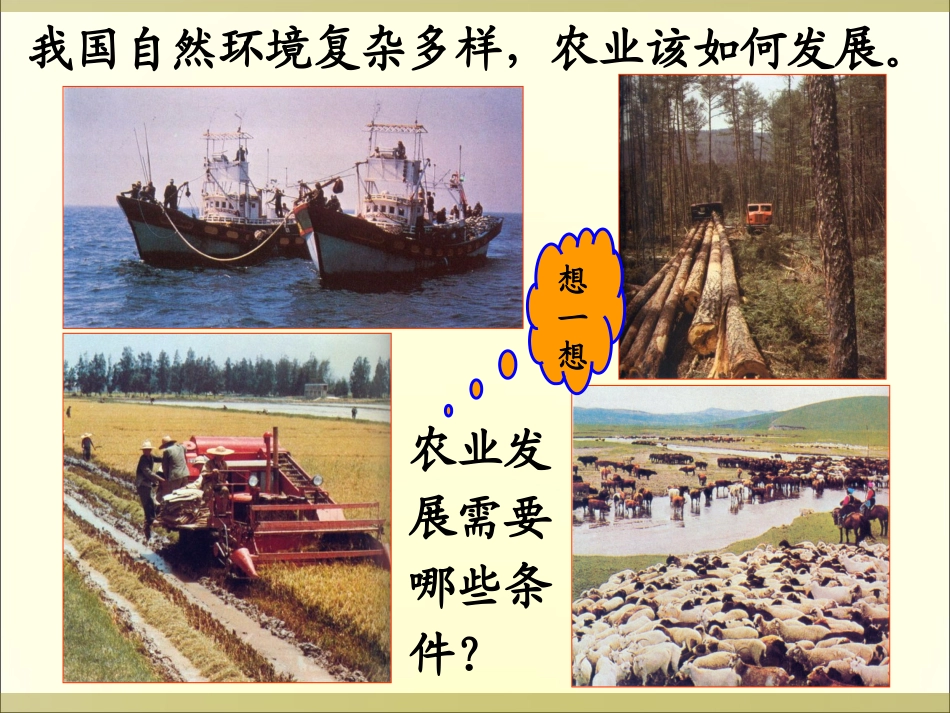 因地制宜发展农业2_第3页