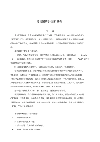 某公司咨询诊断报告