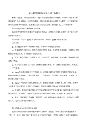 某公司风险控制部中长期工作规划