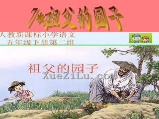 祖父的园子 课件