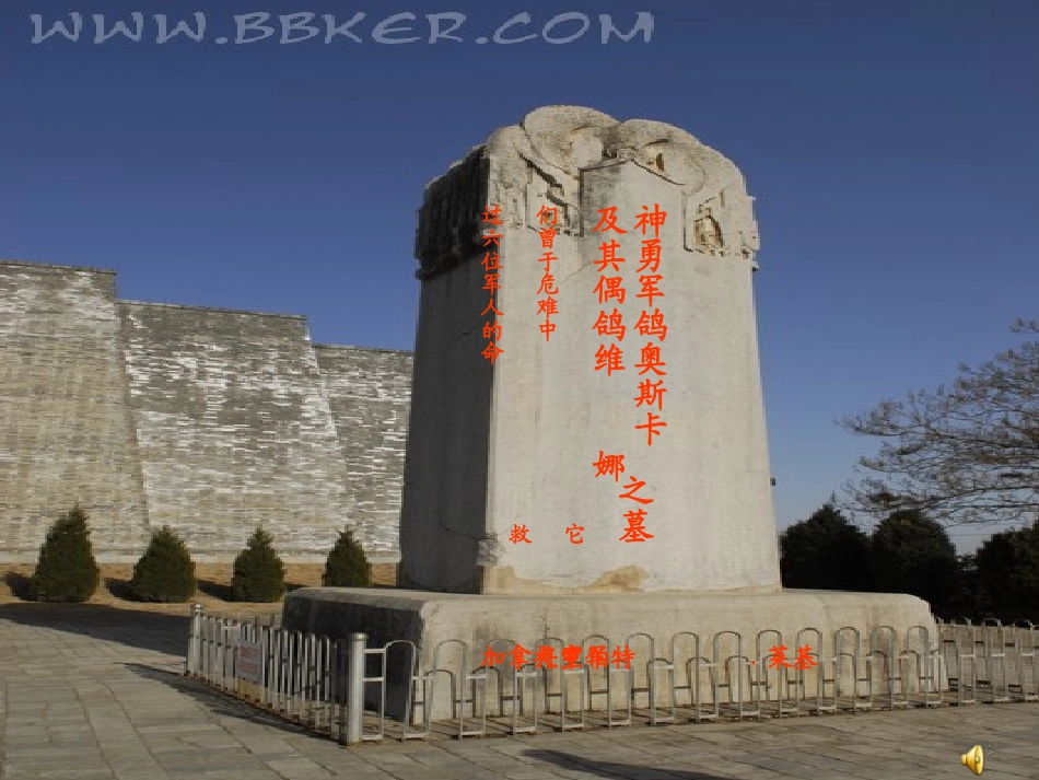 《鸽血染红的求救信》Ppt_第2页