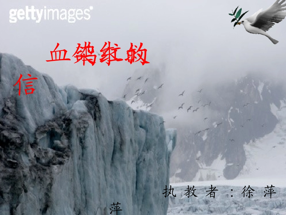 《鸽血染红的求救信》Ppt_第3页