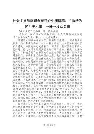 社会主义法制理念在我心中致辞演讲稿：“执法为民”无小事　一叶一枝总关情