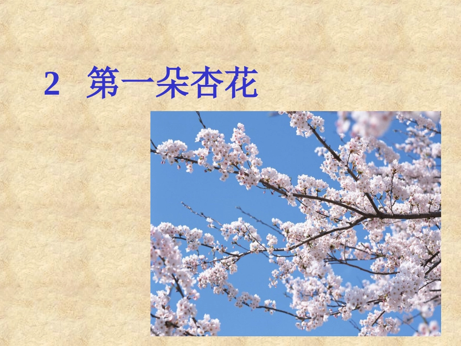 《第一朵杏花》课件_第3页