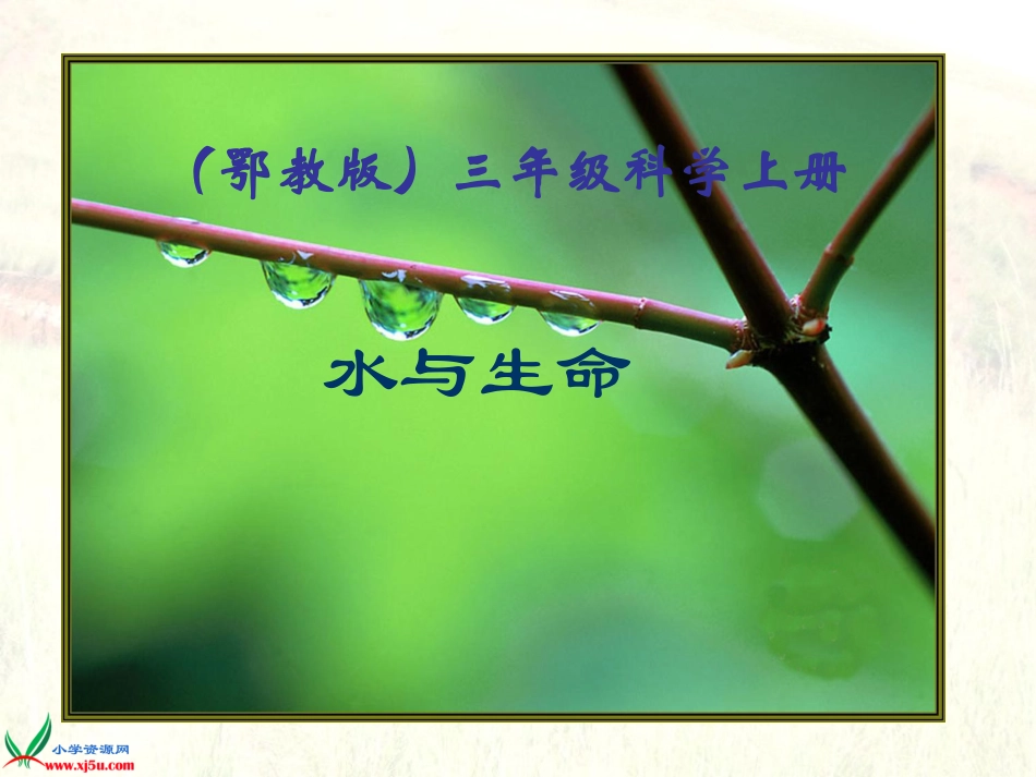 鄂教版小学科学三年级上册《水与生命》课件_第1页