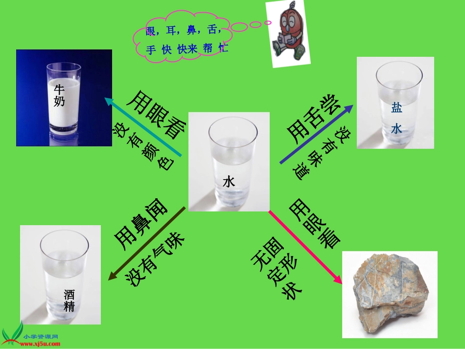 鄂教版小学科学三年级上册《水与生命》课件_第3页