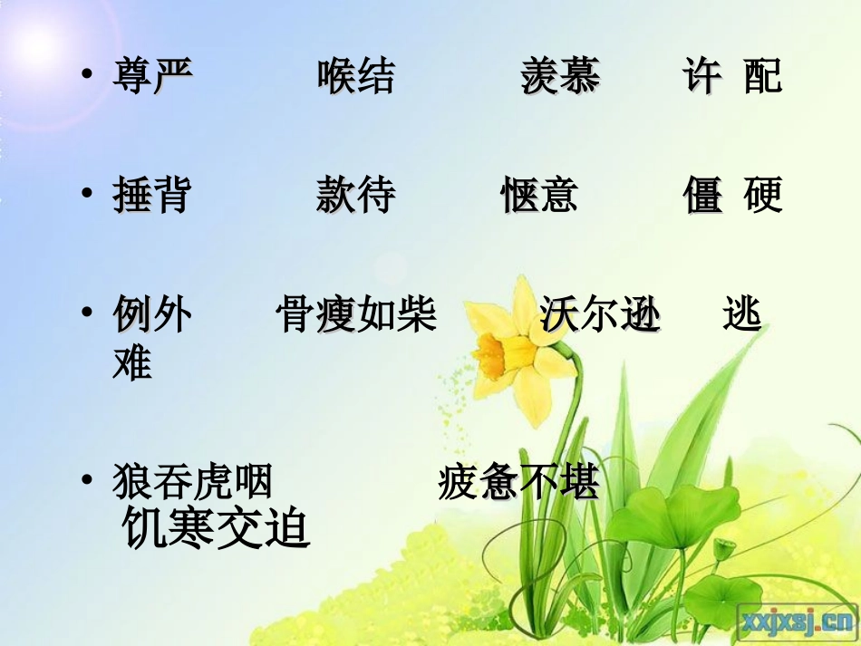 人教版四年级语文下册第7课尊严课件__第2页