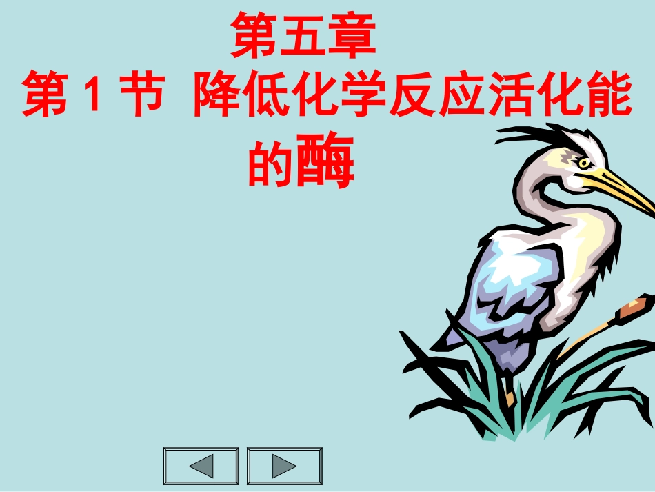 高一生物降低化学反应活化能的酶_第1页