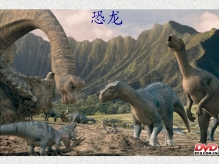 恐龙的灭绝课件