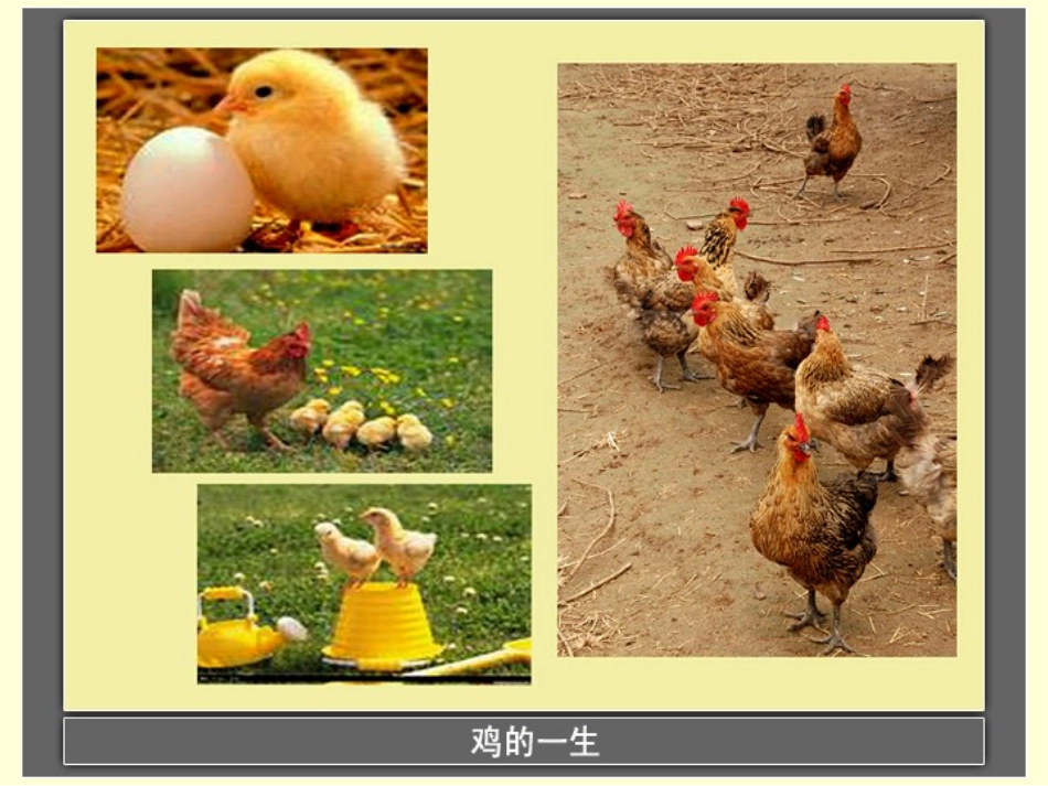 植物的生长变化_第3页