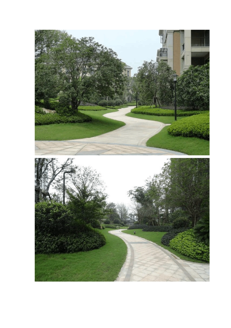 某小区植物配置方案_第3页