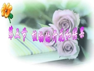 植物的开花和结果PPT