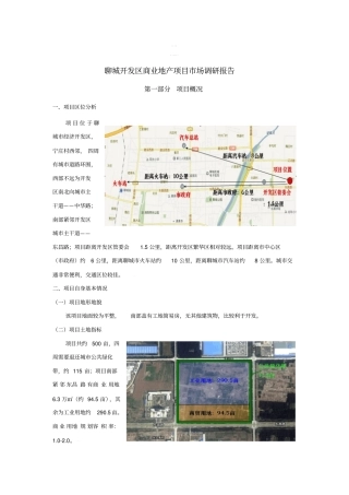 某开发区项目调研报告