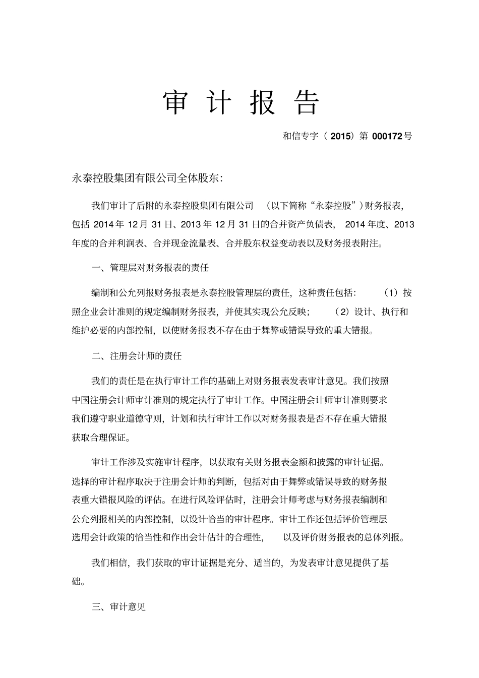 某控股集团有限公司审计报告_第2页