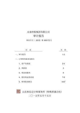某控股集团有限公司审计报告