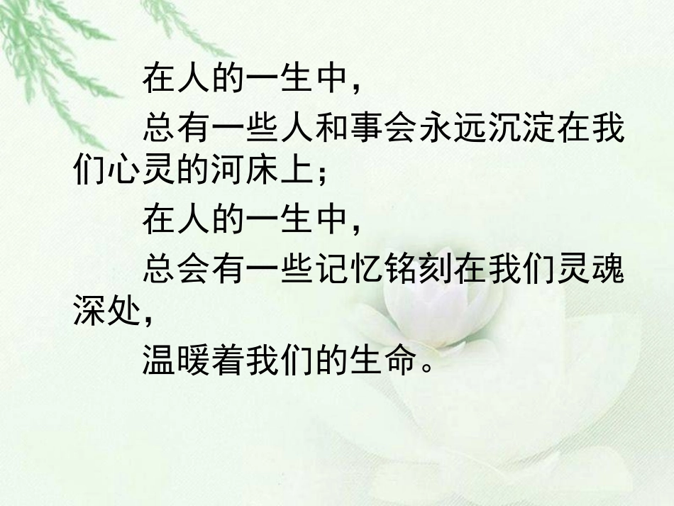 一个人的火车_第2页