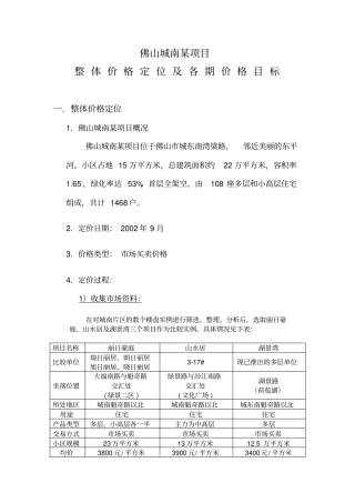 某某项目价格定位报告