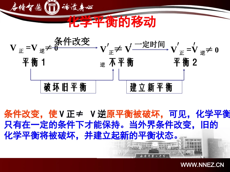 影响化学平衡因素_第3页