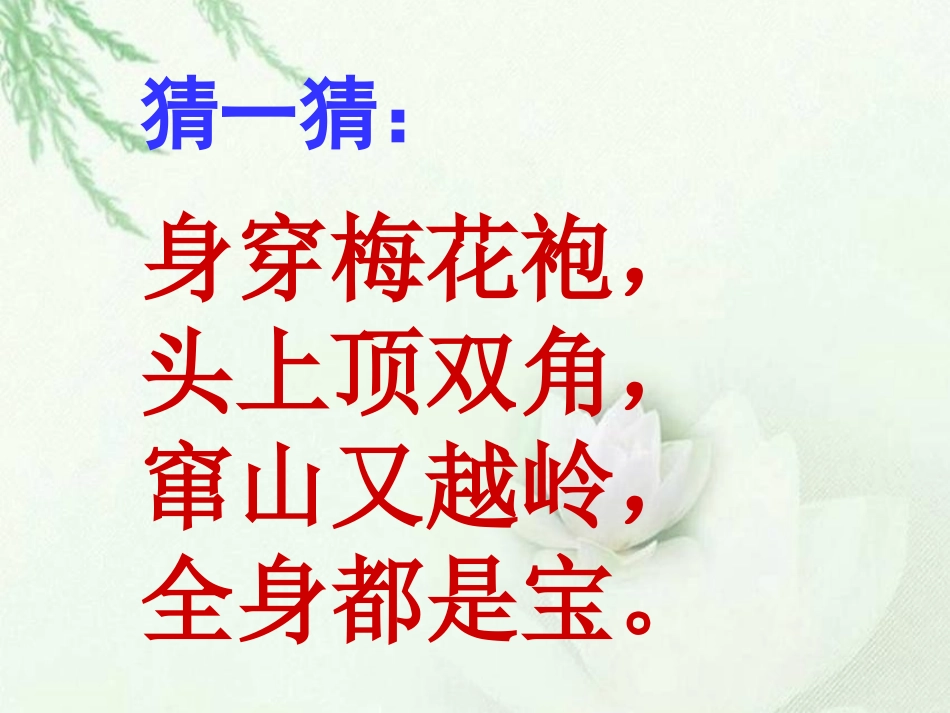 小鹿的减法课件_第2页