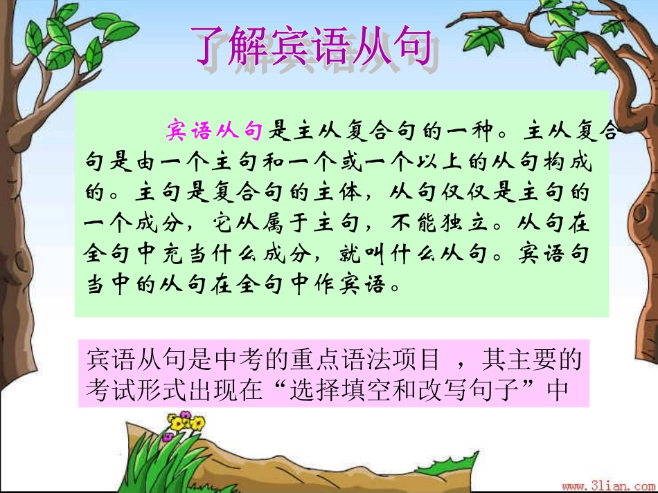 中考英语宾语复习从句课件_第2页