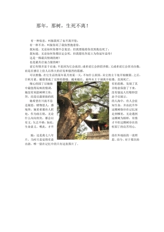 那年，那树，生死不离！